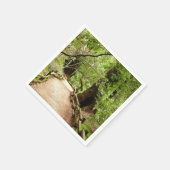 Muir Bossen Path II Natuur Fotografie Servetten (Hoek)