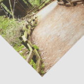 Muir Bossen Path II Natuur Fotografie Tissuepapier (Detail)