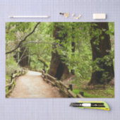 Muir Bossen Path II Natuur Fotografie Tissuepapier (Craft)