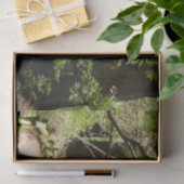 Muir Bossen Path II Natuur Fotografie Tissuepapier (Geschenk)