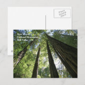 Muir Bossen Post Card Briefkaart (Voorkant / Achterkant)