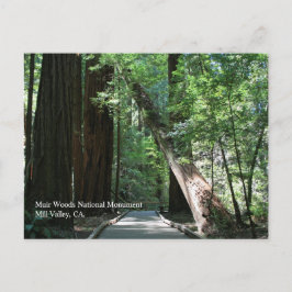 Muir Bossen Post Card Briefkaart