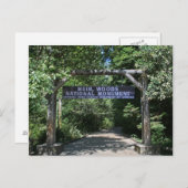 Muir Bossen Post Card Briefkaart (Voorkant / Achterkant)