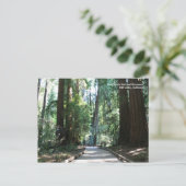 Muir Bossen Post Card Briefkaart (Staand voorkant)