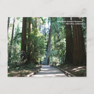 Muir Bossen Post Card Briefkaart