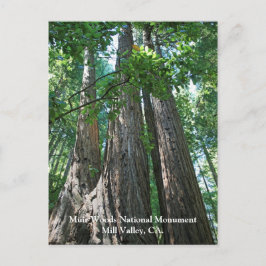 Muir Bossen Post Card Briefkaart
