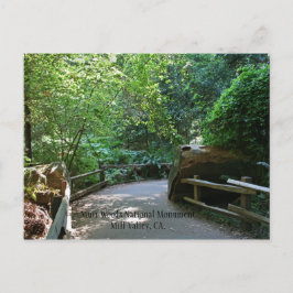 Muir Bossen Post Card Briefkaart