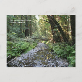 Muir Bossen Post Card Briefkaart
