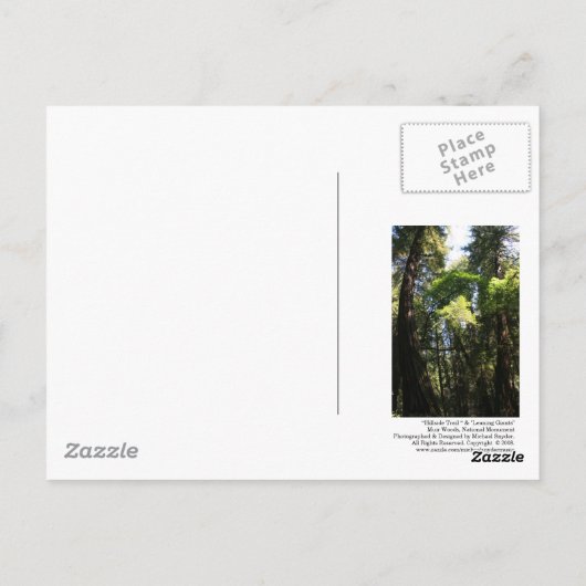 Muir Bossen Post Card Briefkaart (Achterkant)