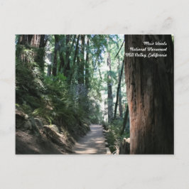 Muir Bossen Post Card Briefkaart