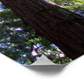 Muir Bossen Poster (Hoek)