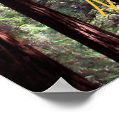 Muir Bossen Poster (Hoek)