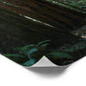 Muir Bossen Poster (Hoek)