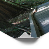 Muir Bossen Poster (Hoek)