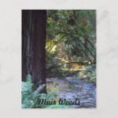 Muir Bossen Stream Briefkaart (Voorkant)