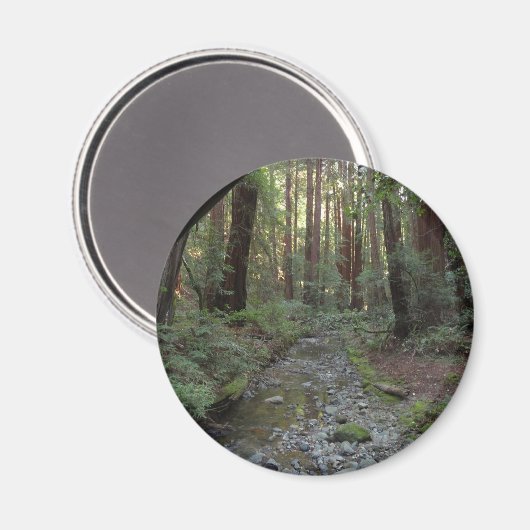 Muir Bossen Stroom Boslandschap Magneet (Voorkant / Achterkant)