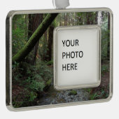 Muir Bossen Stroom Boslandschap Verzilverd Omlijst Ornament (Rechts)