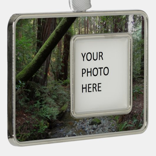 Muir Bossen Stroom Boslandschap Verzilverd Omlijst Ornament (Rechts)