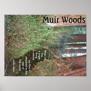 Muir Bossen Trees met Citaat Poster
