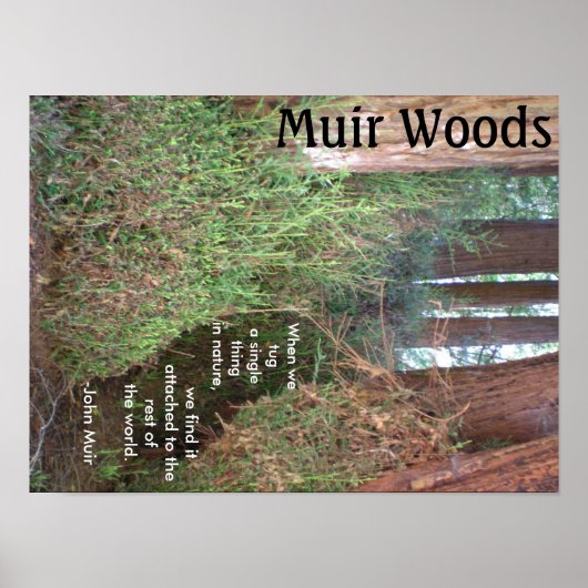 Muir Bossen Trees met Citaat Poster (Voorkant)