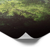 Muir citaat de bergen noemen dennenbomen poster (Hoek)