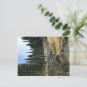 Muir Creek, Oregon Briefkaart (Staand voorkant)