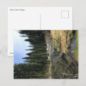 Muir Creek, Oregon Briefkaart (Voorkant / Achterkant)