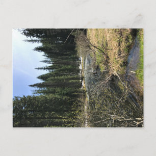 Muir Creek, Oregon Briefkaart