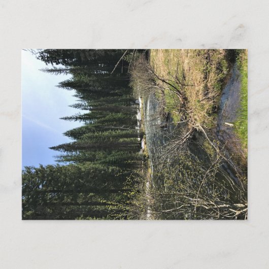 Muir Creek, Oregon Briefkaart (Voorkant)