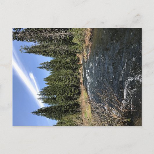 Muir Creek, Oregon Briefkaart (Voorkant)