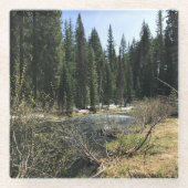 Muir Creek, Oregon Glazen Onderzetter (Voorkant)