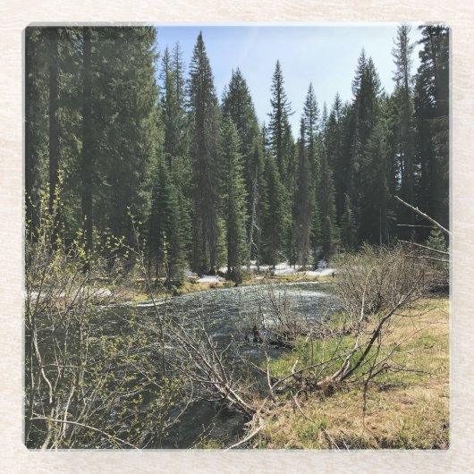 Muir Creek, Oregon Glazen Onderzetter (Voorkant)