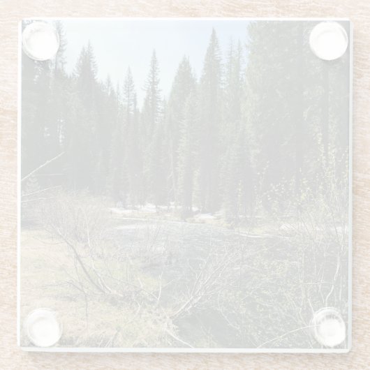 Muir Creek, Oregon Glazen Onderzetter (Achterkant)