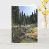 Muir Creek, Oregon Kaart (Gele Bloem)