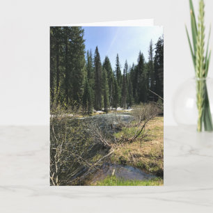 Muir Creek, Oregon Kaart