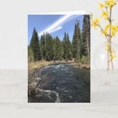 Muir Creek, Oregon Kaart (Gele Bloem)