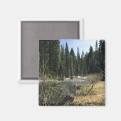 Muir Creek, Oregon Magneet (Voorkant / Achterkant)