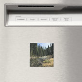 Muir Creek, Oregon Magneet (Insitu (Vaatwasser))