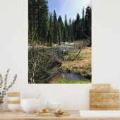 Muir Creek, Oregon Poster (Keuken)