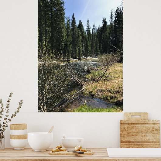 Muir Creek, Oregon Poster (Keuken)