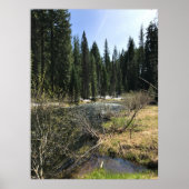 Muir Creek, Oregon Poster (Voorkant)