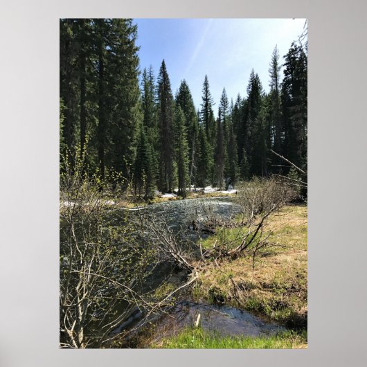 Muir Creek, Oregon Poster (Voorkant)
