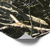 Muir Creek, Oregon Poster (Hoek)