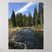 Muir Creek, Oregon Poster (Voorkant)