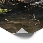 Muir Creek, Oregon Poster (Hoek)