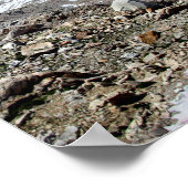 Muir Pass Panorama van Boven - John Muir Trail Poster (Hoek)