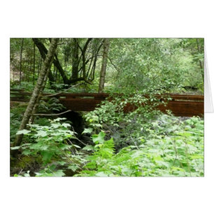 Muir Woods Brug I