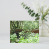 Muir Woods Brug I Briefkaart (Staand voorkant)