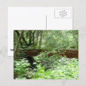 Muir Woods Brug I Briefkaart (Voorkant / Achterkant)