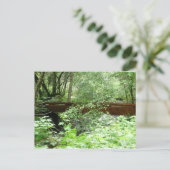 Muir Woods Brug I Briefkaart (Staand voorkant)